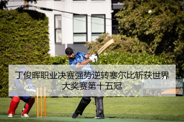 丁俊晖职业决赛强势逆转塞尔比斩获世界大奖赛第十五冠
